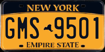 NY license plate GMS9501