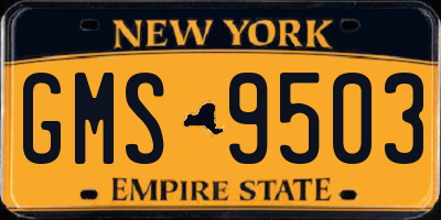 NY license plate GMS9503