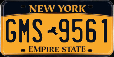 NY license plate GMS9561