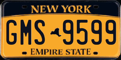 NY license plate GMS9599