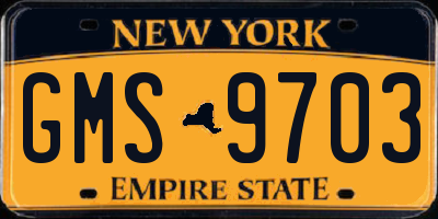NY license plate GMS9703