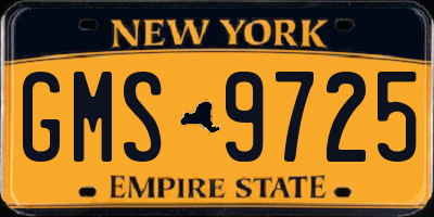 NY license plate GMS9725