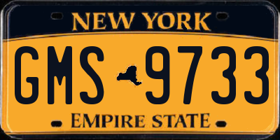 NY license plate GMS9733