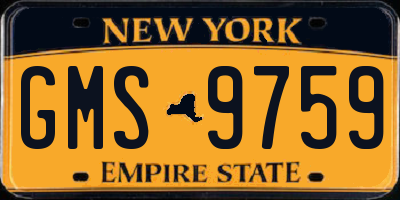 NY license plate GMS9759