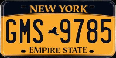 NY license plate GMS9785