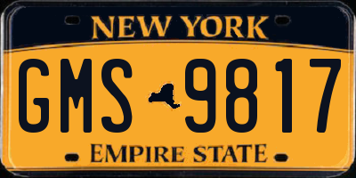 NY license plate GMS9817