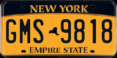 NY license plate GMS9818
