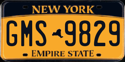NY license plate GMS9829