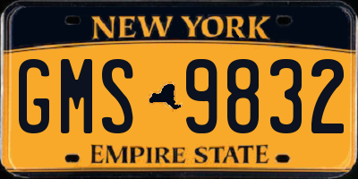 NY license plate GMS9832