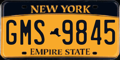 NY license plate GMS9845