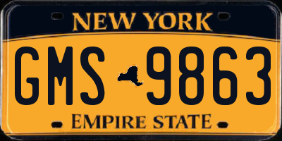 NY license plate GMS9863