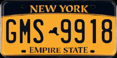 NY license plate GMS9918