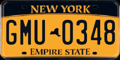 NY license plate GMU0348