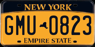 NY license plate GMU0823
