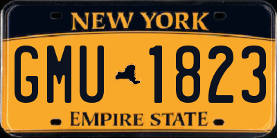 NY license plate GMU1823