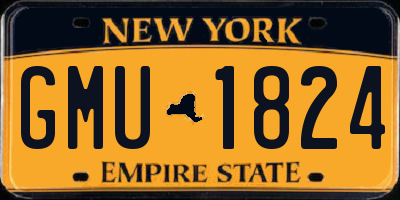 NY license plate GMU1824