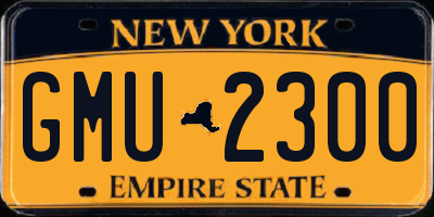 NY license plate GMU2300