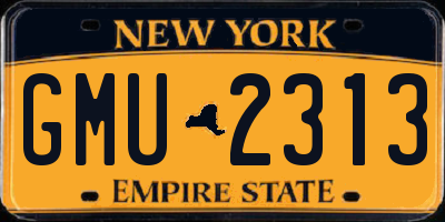 NY license plate GMU2313