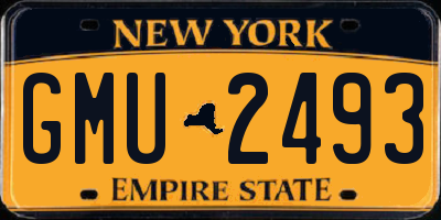 NY license plate GMU2493