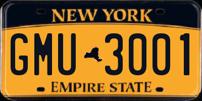 NY license plate GMU3001