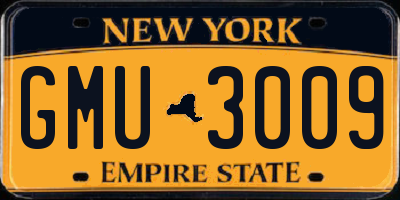 NY license plate GMU3009