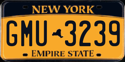 NY license plate GMU3239