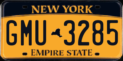 NY license plate GMU3285