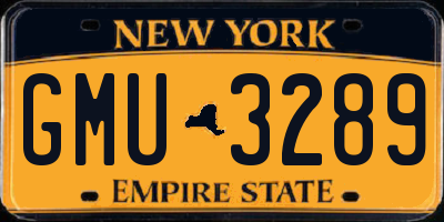 NY license plate GMU3289
