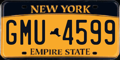 NY license plate GMU4599