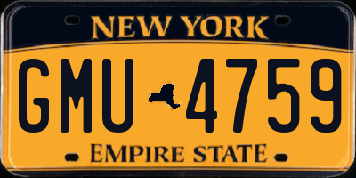 NY license plate GMU4759