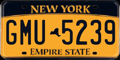 NY license plate GMU5239