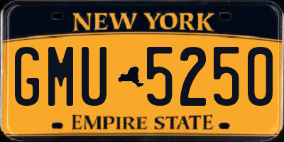 NY license plate GMU5250