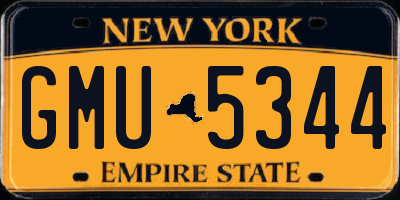 NY license plate GMU5344