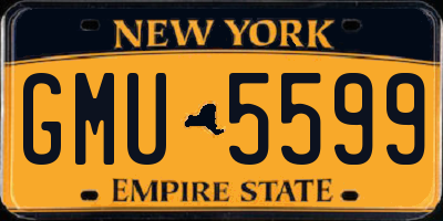 NY license plate GMU5599