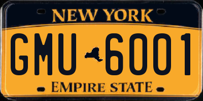 NY license plate GMU6001