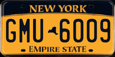 NY license plate GMU6009