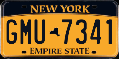 NY license plate GMU7341