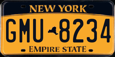 NY license plate GMU8234