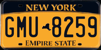 NY license plate GMU8259
