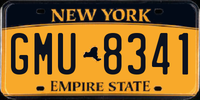 NY license plate GMU8341