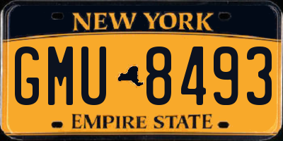 NY license plate GMU8493