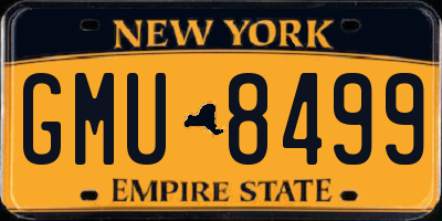 NY license plate GMU8499