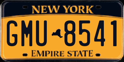 NY license plate GMU8541