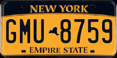 NY license plate GMU8759