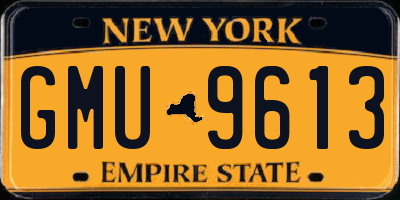 NY license plate GMU9613