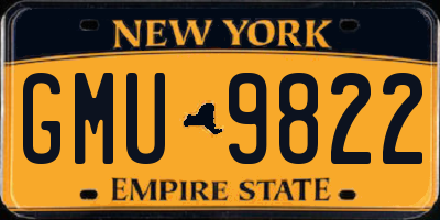 NY license plate GMU9822