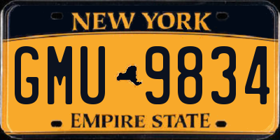 NY license plate GMU9834