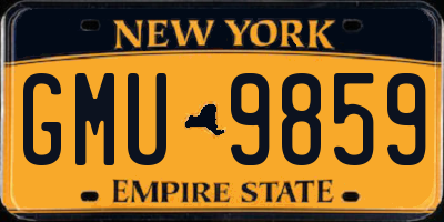 NY license plate GMU9859