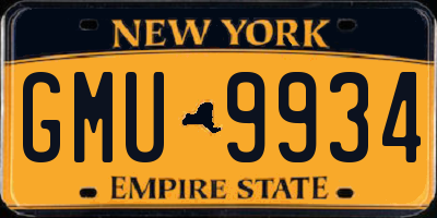 NY license plate GMU9934