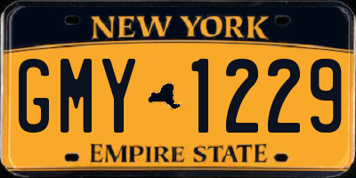 NY license plate GMY1229